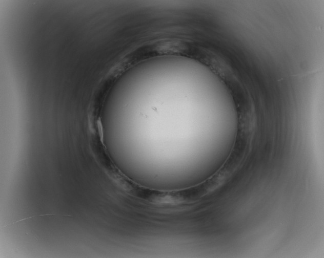 X0000116140755200911231311