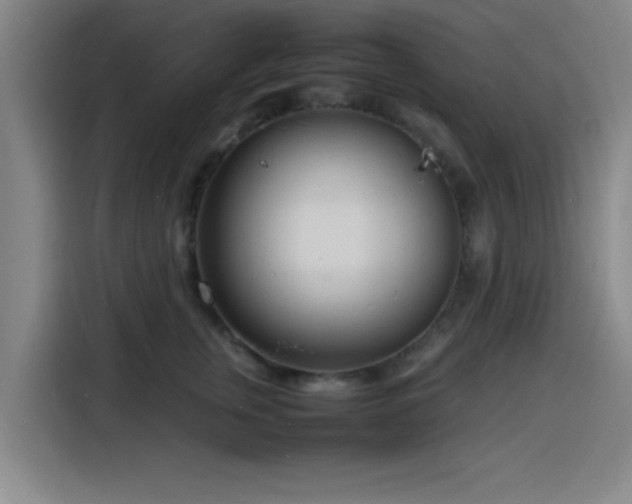 X0000116140759200911231311