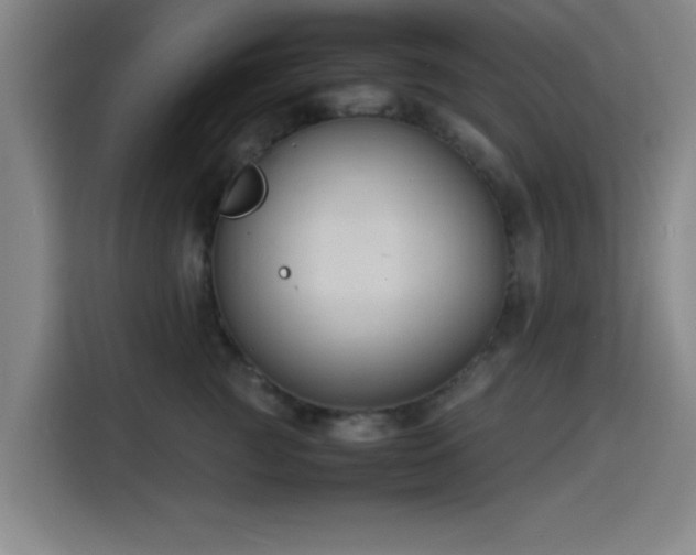 X0000116140761200911231311