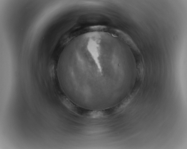 X0000116140762200911231311