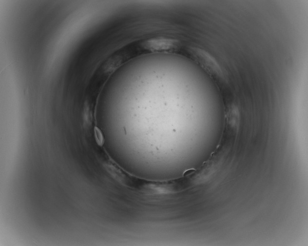 X0000116140763200911231311