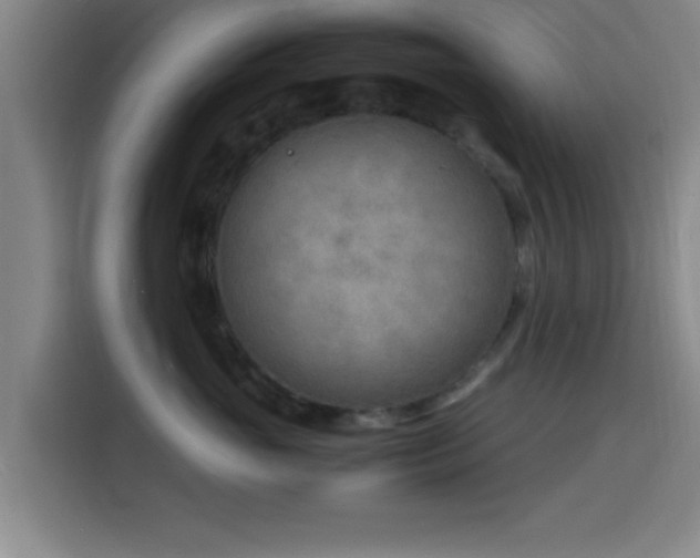 X0000116140765200911231311