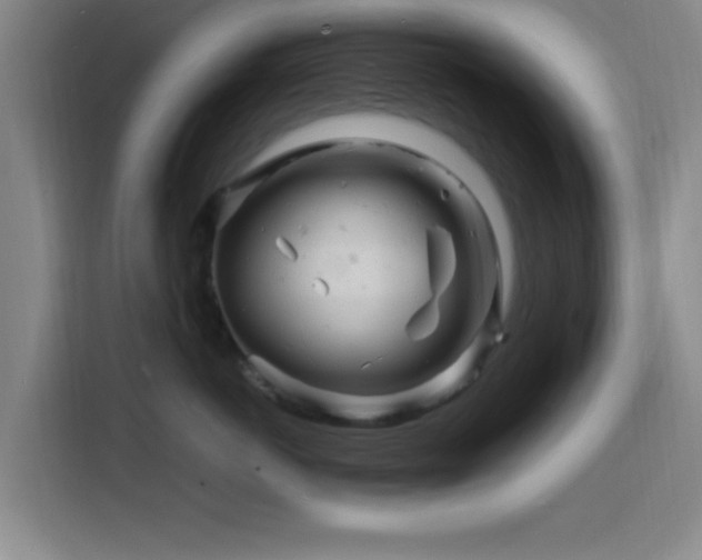 X0000116140766200911231311