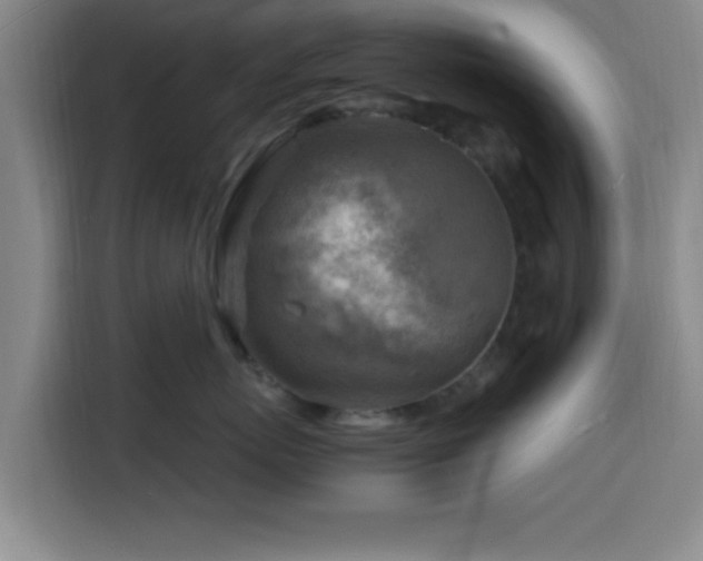 X0000116140767200911231311