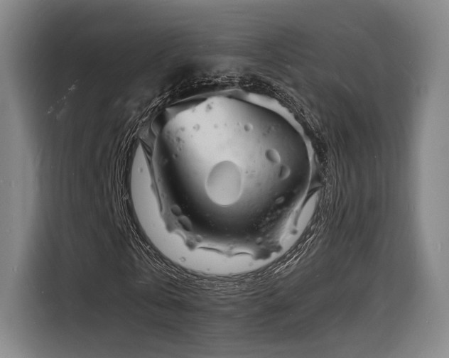 X0000116140769200911231310