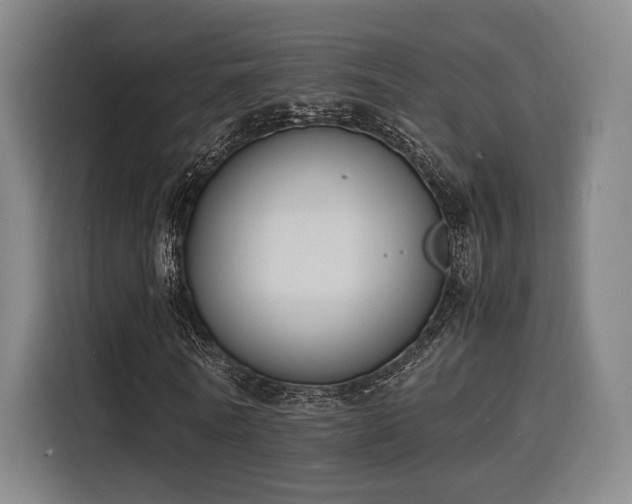 X0000116140770200911231310