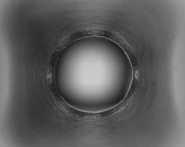X0000116140771200911231310