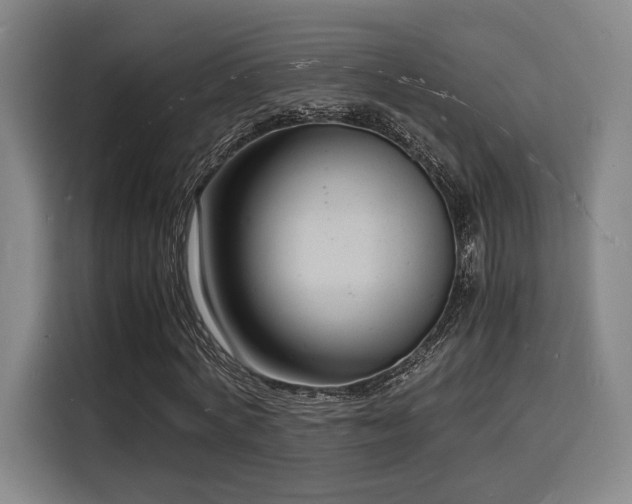 X0000116140772200911231310