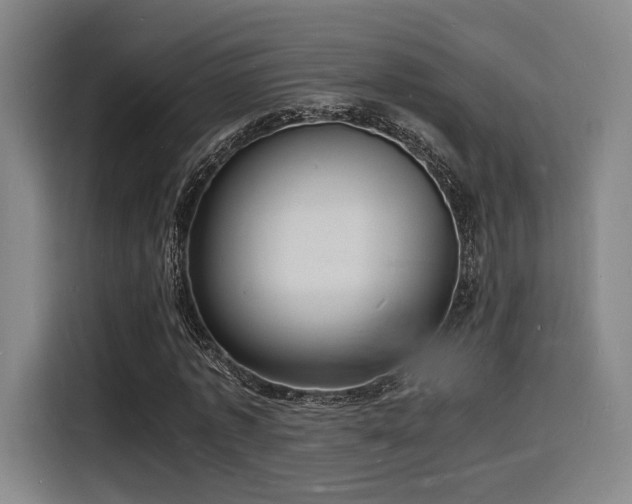 X0000116140773200911231310