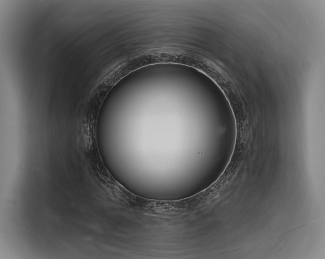 X0000116140774200911231310