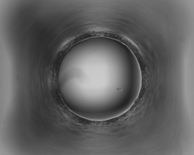 X0000116140775200911231310