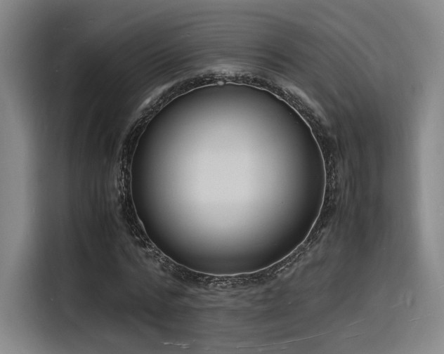X0000116140776200911231310