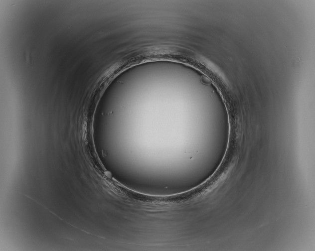 X0000116140777200911231310