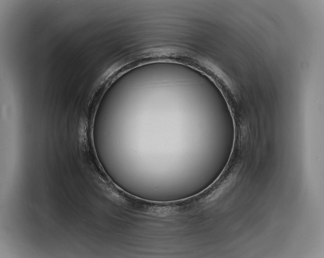 X0000116140778200911231310
