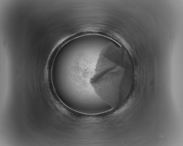 X0000116140779200911231310