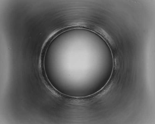 X0000116140780200911231310