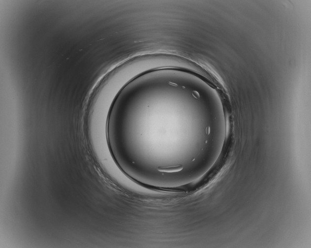 X0000116140781200911231310