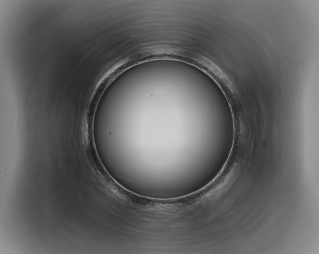 X0000116140782200911231310