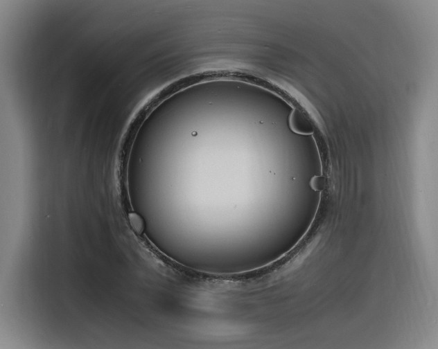 X0000116140783200911231310