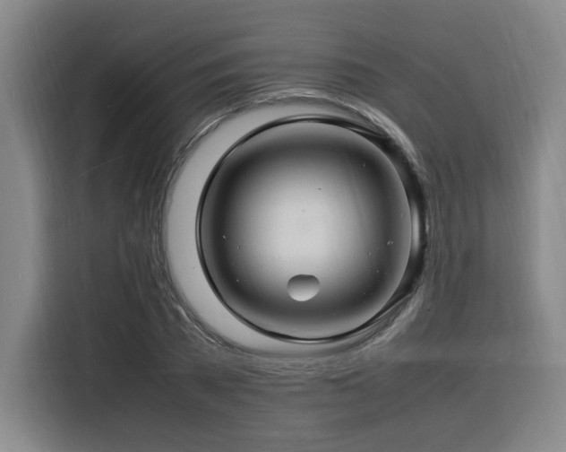 X0000116140785200911231310