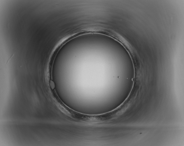 X0000116140787200911231310