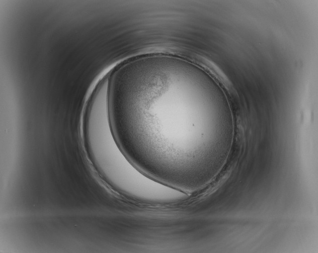 X0000116140788200911231310
