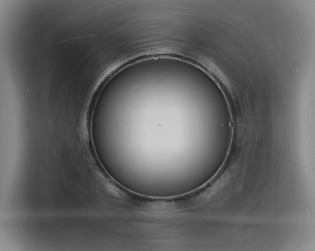 X0000116140789200911231310