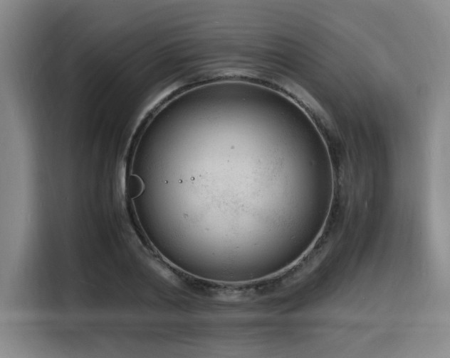 X0000116140790200911231310