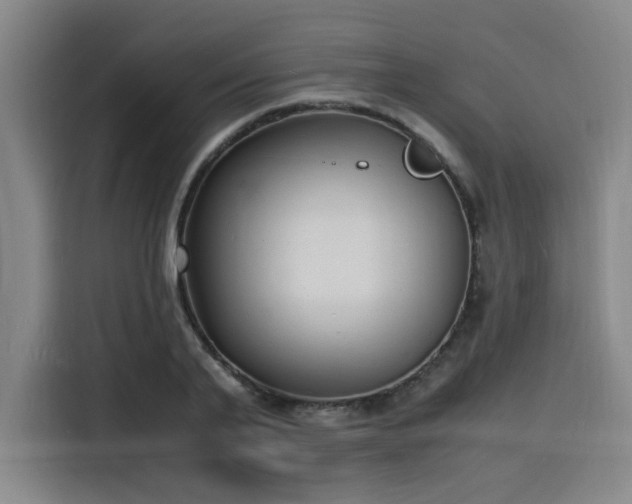 X0000116140791200911231310