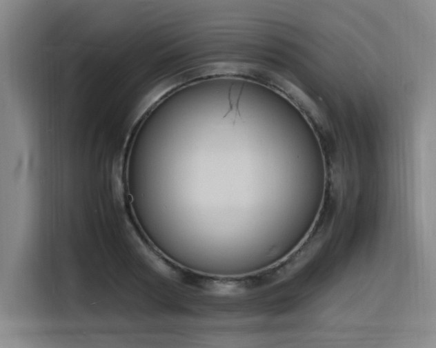 X0000116140794200911231310