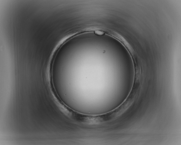 X0000116140795200911231310