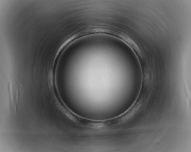 X0000116140798200911231310