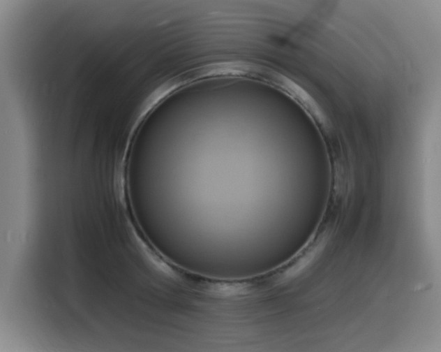 X0000116140802200911231310