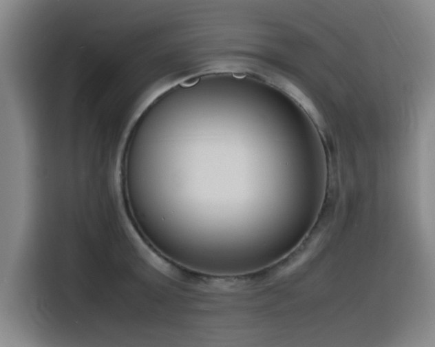 X0000116140803200911231310