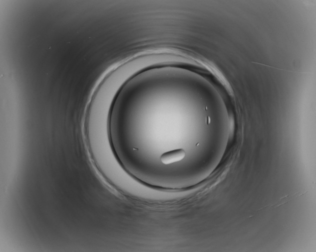X0000116140805200911231310
