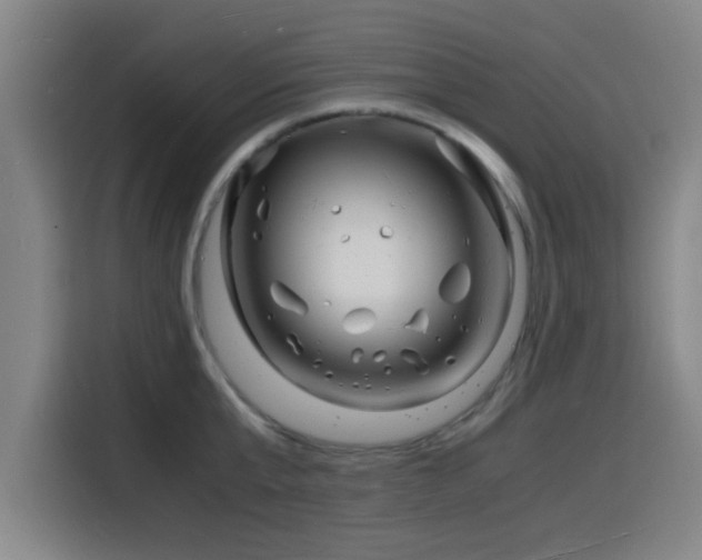 X0000116140807200911231310