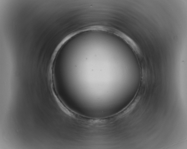 X0000116140808200911231310