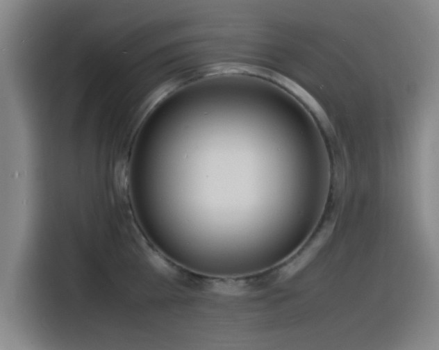 X0000116140809200911231310