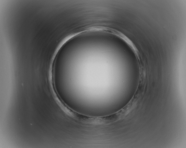 X0000116140811200911231310