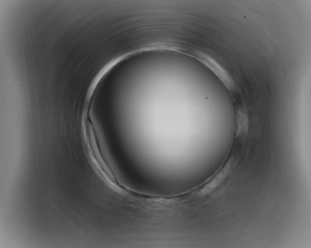 X0000116140812200911231310