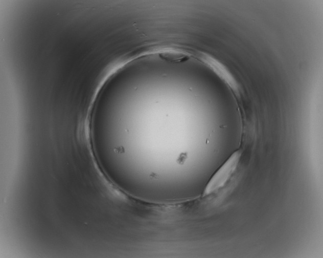 X0000116140813200911231310