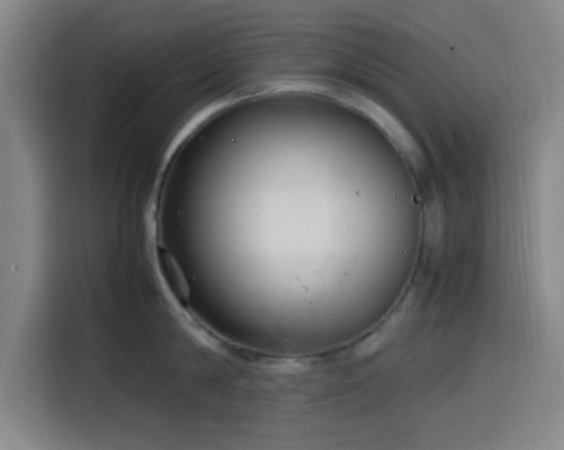 X0000116140814200911231310