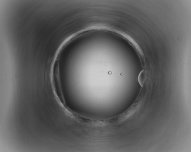 X0000116140815200911231310