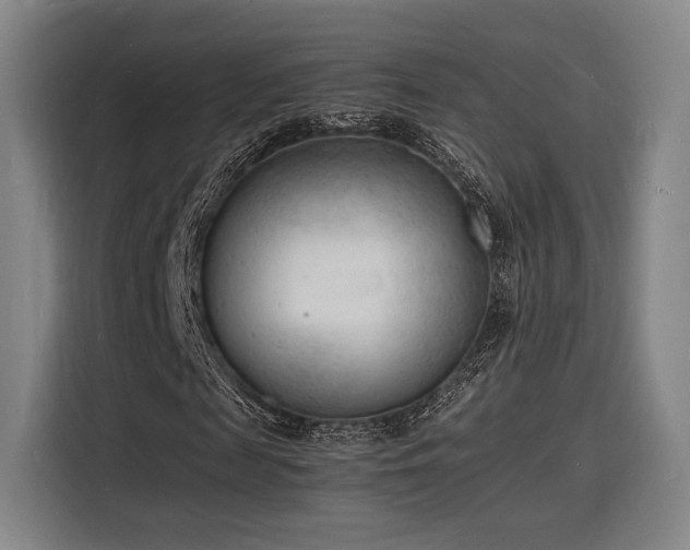 X0000116140817200911231309