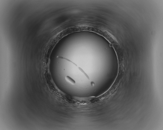 X0000116140821200911231309
