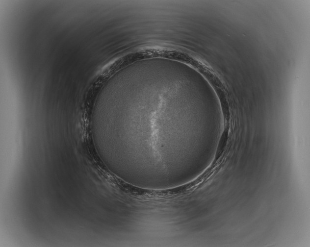 X0000116140822200911231309