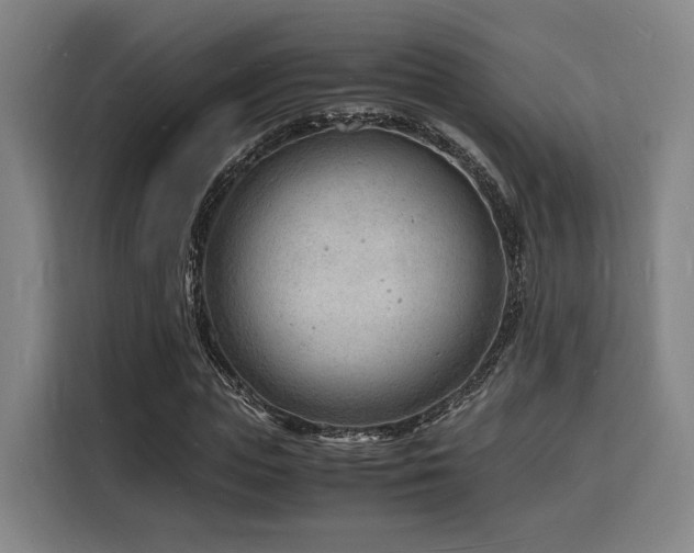 X0000116140823200911231309