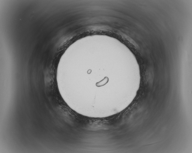 X0000116140824200911231309