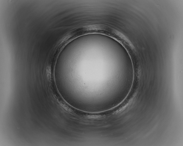 X0000116140825200911231309
