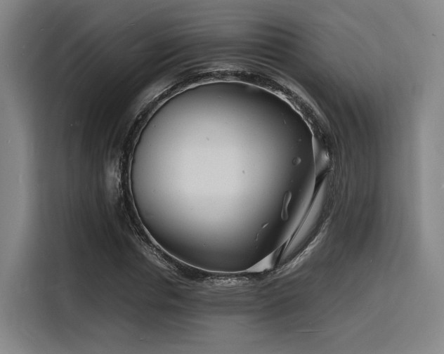 X0000116140826200911231309